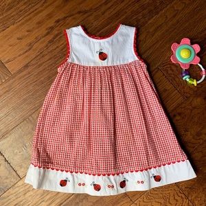 🐞 ladybug red and white gingham dress